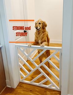 a brown dog sitting on top of a white gate next to a wooden floor and door