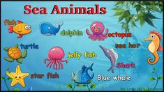 an image of sea animals with their names in the bottom right hand corner and below