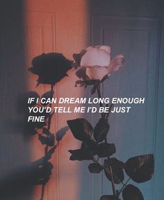 a white rose sitting on top of a wooden table next to a door with the words if i can dream long enough you'd tell me i'd be just fine