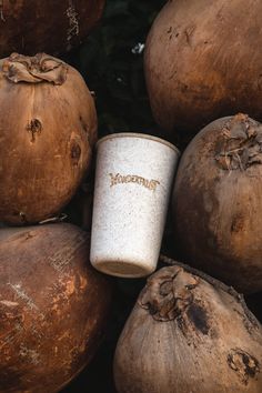 some coconuts and a cup sitting on top of each other with the word thunder written on them