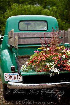 an old green truck with flowers in the bed