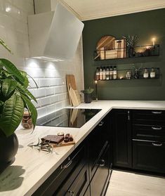 a kitchen with green walls and white counter tops, black cabinets, and a potted plant