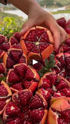 someone is picking up some fruit from the bush with one hand and another hand reaching for it