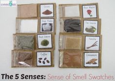 the five scenes of smell swatches are arranged in squares and rectangles to make them look like pictures