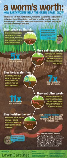 an info poster describing how worms work in the soil and what they can do with them