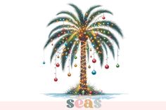 a palm tree with christmas ornaments hanging from it's branches and the words seas above it