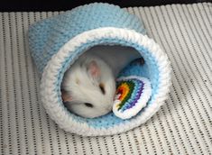 a small white rat in a blue crocheted blanket with a rainbow toy inside