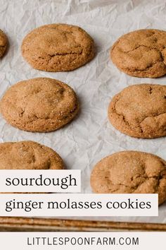 chocolate cookies on parchment paper with text that reads sourdough ginger molasses cookies