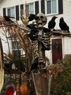 a skeleton and some black birds in front of a house