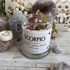 the scorpion candle is next to some rocks and flowers