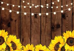 sunflowers with string lights on wooden background