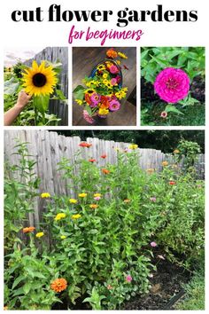 several different types of flowers in the garden with text overlay that says cut flower gardens for beginners