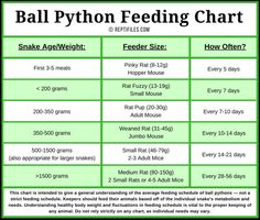 a table that has some information about the different types of food and how to use it