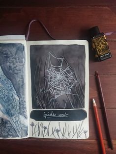 an open book with spider webs on it next to a pencil and some other items