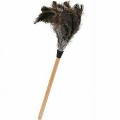 a feather duster on a white background