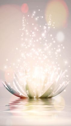 a white flower floating on top of water with sparkles in the sky above it