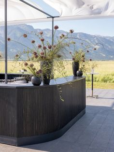 an outdoor bar with vases and flowers on the outside wall, along with mountains in the background