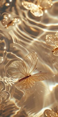 two butterflies floating on top of water with ripples in the background and sunlight reflecting off their wings