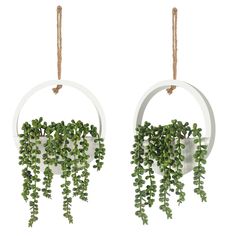 two white circular hanging planters with green plants