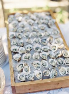 a tray filled with oysters sitting on top of a table next to white plates