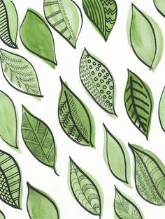 green leaves are drawn on white paper with watercolor pencils in the shape of leaf shapes