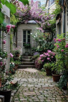 an alley way with potted plants and flowers on either side, leading to the front door