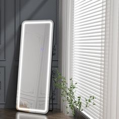 a large mirror sitting on top of a wooden floor next to a potted plant