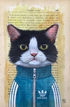 a black and white cat wearing a blue jacket on top of an old book page