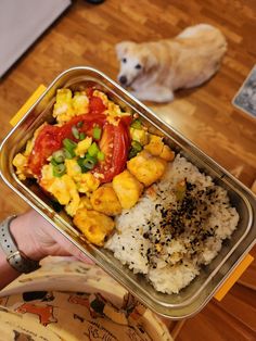 a person holding a container with rice and vegetables in it next to a dog on the floor