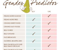 an info sheet showing the differences between gender and baby food