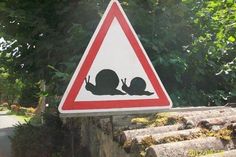 there is a sign that warns people to beware of slugs