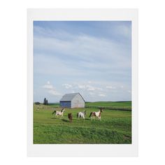 three horses in a field with a barn in the backgrounnd and clouds in the sky