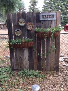 a wooden fence with plants growing on it