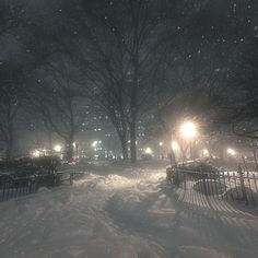 a snow covered park at night with street lights