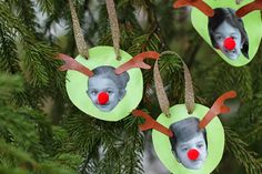 three christmas ornaments hanging from a tree with red nose and nose painted on them's faces