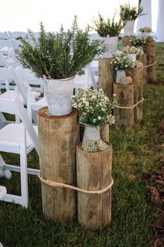 several vases filled with plants sitting on top of wooden logs