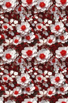 many white and red flowers are arranged together