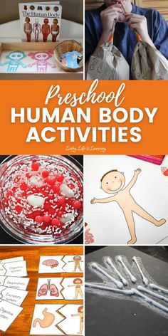 the words preschool human body activities are shown in this collage with pictures and text