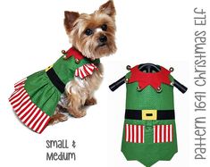 a small dog wearing a green and red christmas outfit next to an elf's costume