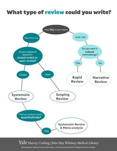 a diagram with the words what type of review could you write?