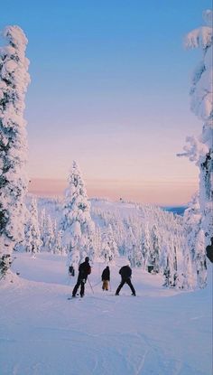 three people are skiing in the snow near some trees