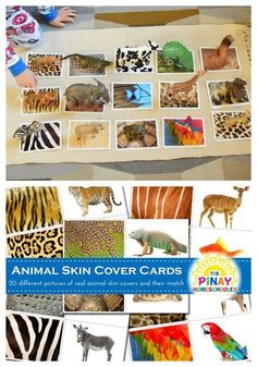 an animal skin cover cards with pictures of different animals and their names are shown here