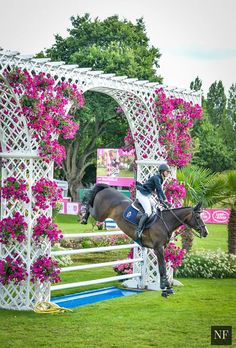 a person on a horse jumping over an obstacle with pink flowers in the foreground