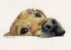 a drawing of a dog's head resting on the ground with its eyes open