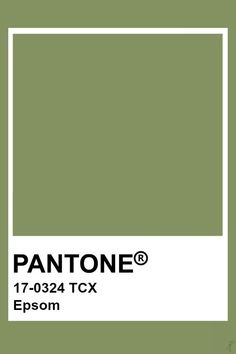 the pantone color is olive green and has a white rectangle on top of it