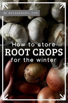 some onions and garlic are on display with the words how to store root crops for the winter