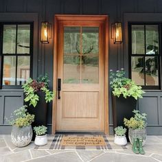 two potted plants sitting on the front steps of a house next to a door