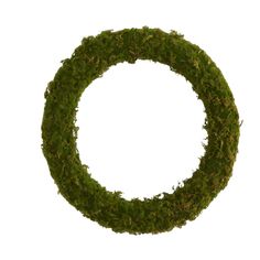 a moss covered wreath on a white background