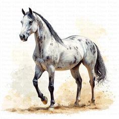 a white and black horse is running in the dirt with watercolor paint on it