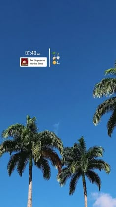 there are palm trees in front of the blue sky